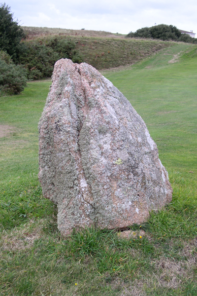 Stone on the 7th Fairway